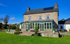 Ty Newydd B&B